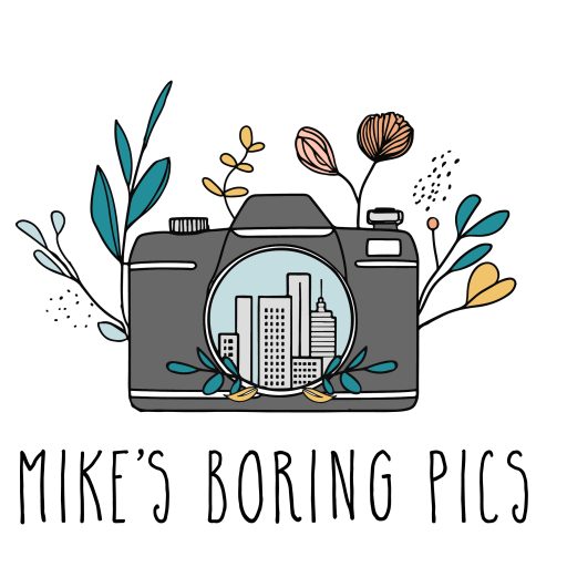 Camera with flowers in and around it